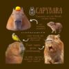 flat750x075f pad750x1000f8f8f8 6 - Capybara Gifts UK