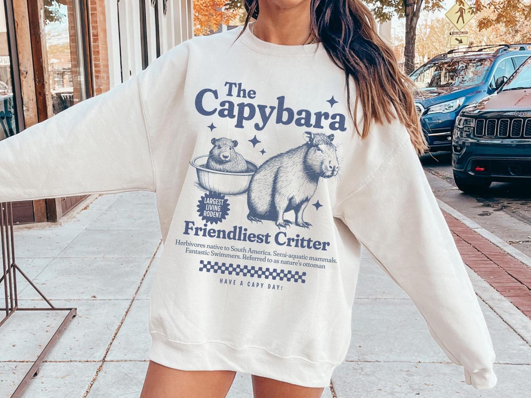 il_fullxfull.6283827279_aohp - Capybara Gifts UK